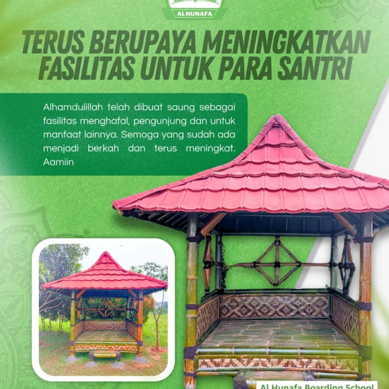 SnapInsta